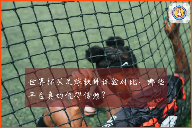 世界杯买足球软件体验对比，哪些平台真的值得信赖？