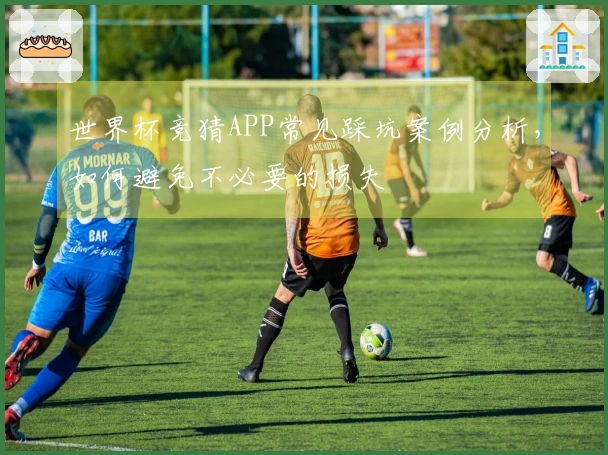 世界杯竞猜APP常见踩坑案例分析，如何避免不必要的损失