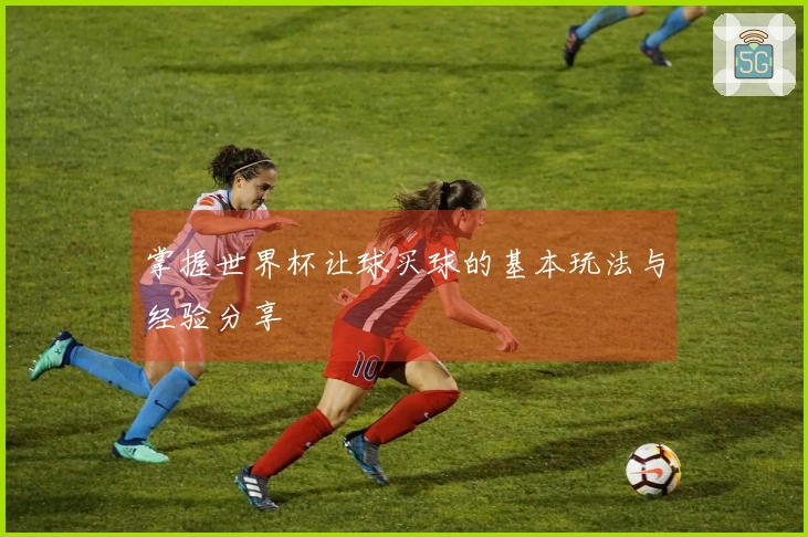 掌握世界杯让球买球的基本玩法与经验分享