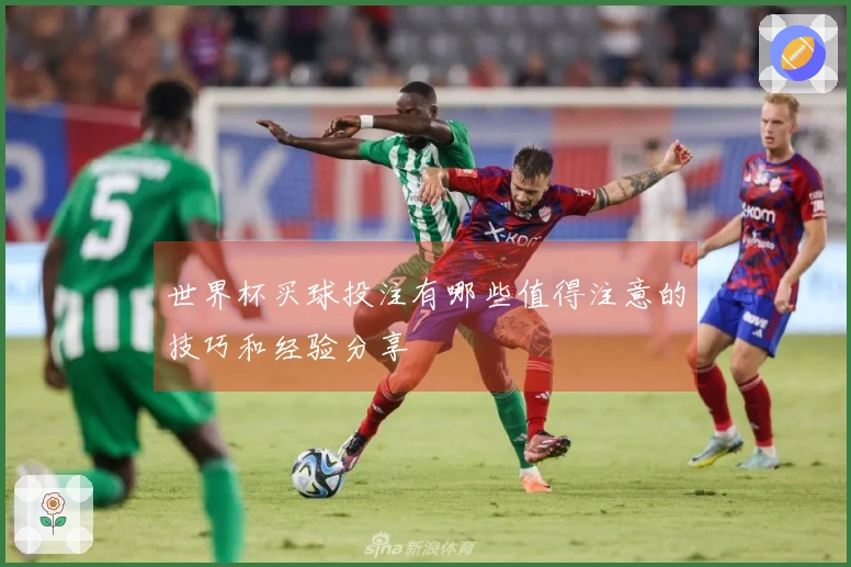 世界杯买球投注有哪些值得注意的技巧和经验分享