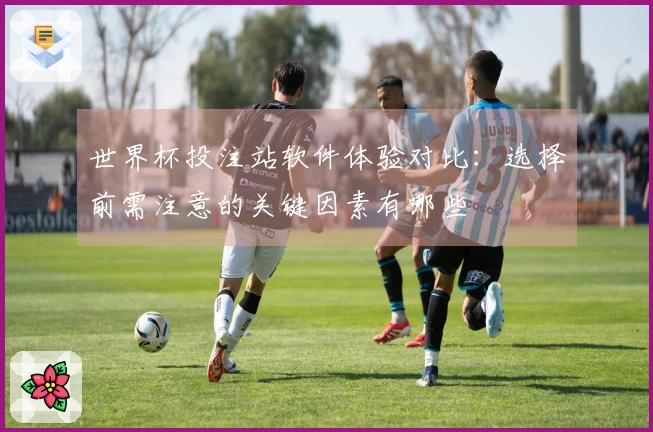 世界杯投注站软件体验对比：选择前需注意的关键因素有哪些