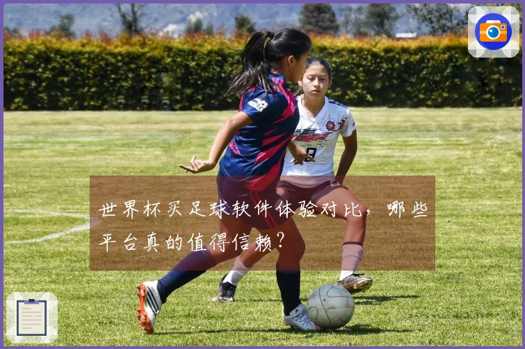 世界杯买足球软件体验对比，哪些平台真的值得信赖？